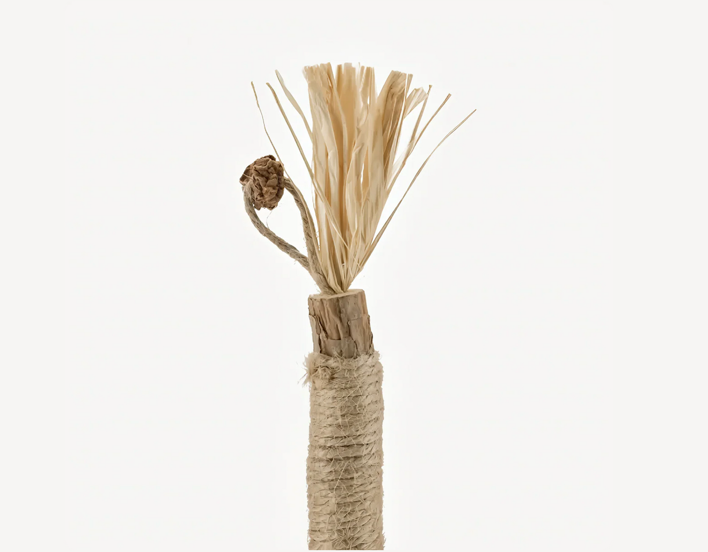 Felvéra - Natural Silvervine Dental Sticks