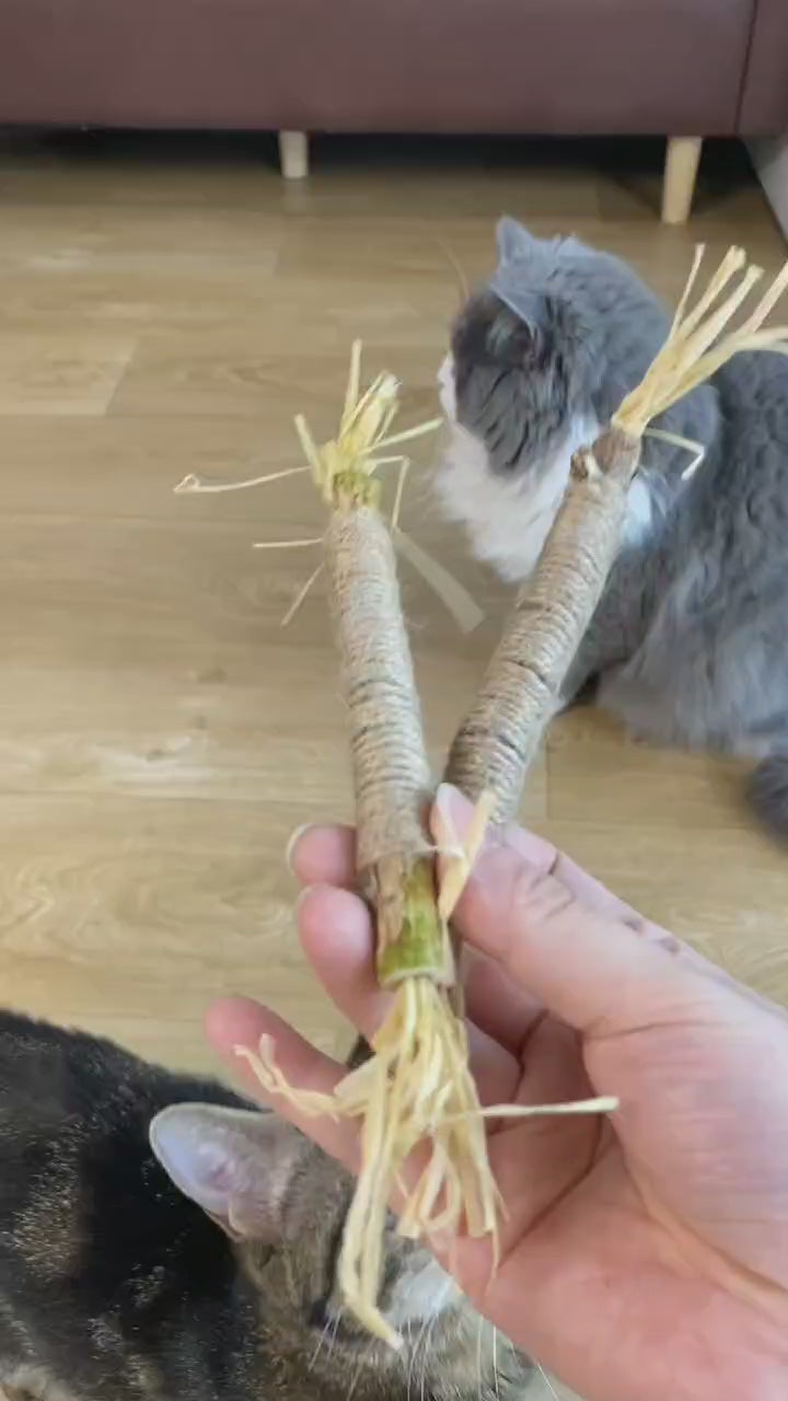 Load video: Discover the joy of seeing your beloved cat happy, playful, and thriving. Our safe, natural products are crafted with love to support your cat's wellbeing and create those precious bonding moments you cherish. Give your cat the care they deserve and experience the peace of mind that comes with knowing you're providing only the best.