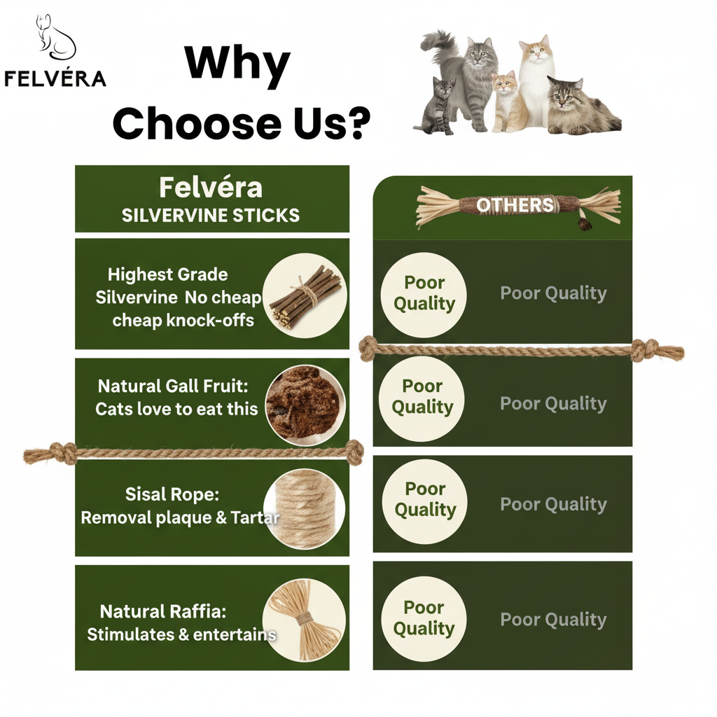 Felvéra - Natural Silvervine Dental Sticks