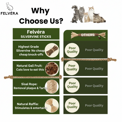 Felvéra - Natural Silvervine Dental Sticks